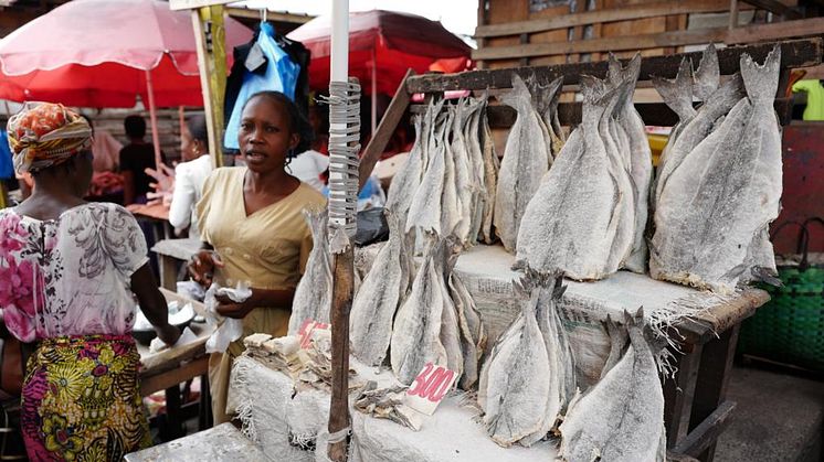 Norsk klippfisk til salgs på et marked i Kinshasa, hovedtaden i Den demokratiske republikken Kongo. FOTO: Kostevit/Sjømatrådet