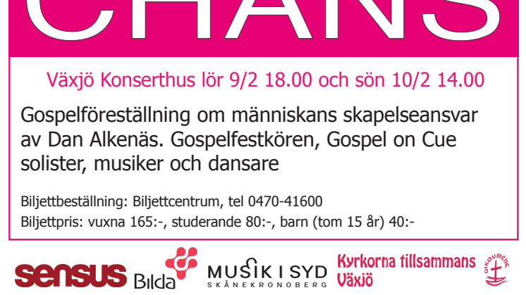 Växjö Gospelfest 2013 - Världens Chans