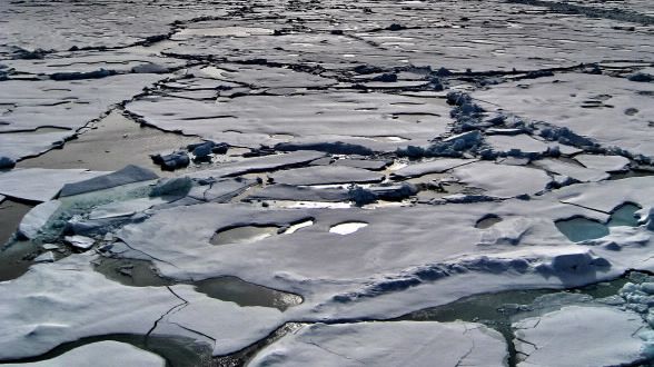 Fuktiga vårvindar till Arktis påverkar sommarens istäcke 