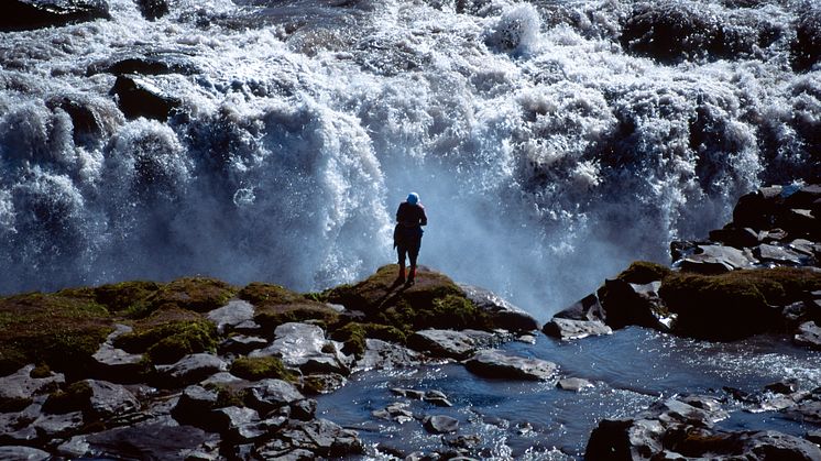 Top 10 experiences on a cruise to Iceland