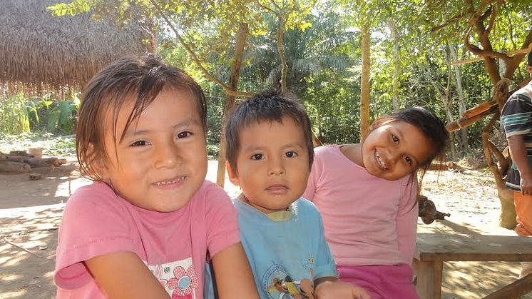 Hvad er "Det gode liv" for Bolivias oprindelige folk?