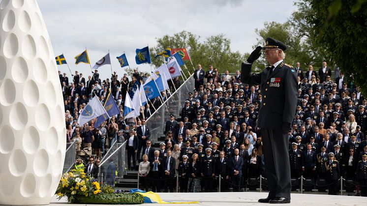 Foto: Niklas Englund/Försvarsmakten