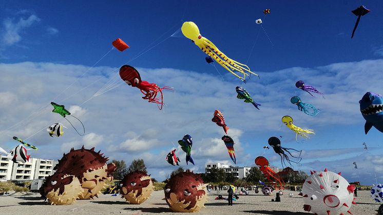 Während des Drachenfests verwandelt sich der Himmel am Südstrand in ein buntes Farbenmeer. © Tourismus-Service Fehmarn 