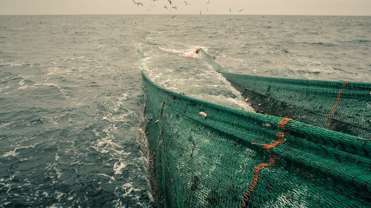 HaV föreslår ny modell för att få bättre bild av yrkesfiskets fångster