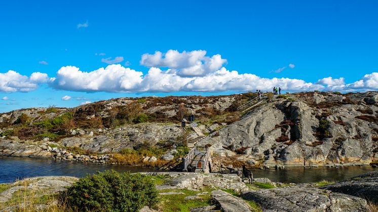 Galterö, Göteborgs södra skärgård. Foto: Badereddin Moukayed