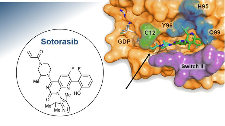 Lumyras (sotorasib) är en first-in-class småmolekylhämmare som specifikt och irreversibelt binder till KRAS G12C via den cysteinaminosyra som ersätter glycin när mutationen inträffar. 