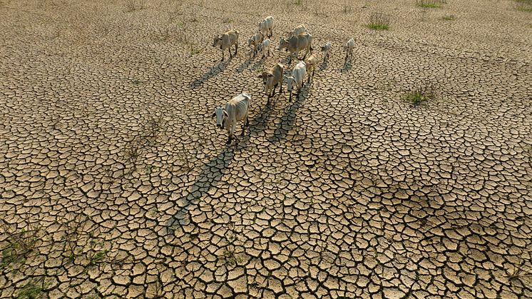 Jordbruksberoende regioner drabbas hårt av klimatrelaterade händelser som torka och översvämningar.