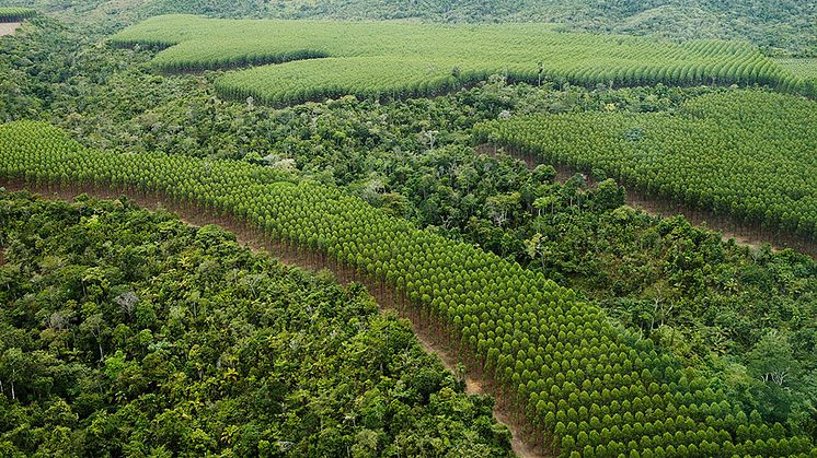 Jord- och skogsbruk i Brasilien och BRIC-länderna