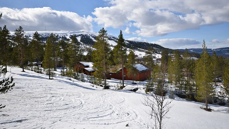 Färre fritidshus till salu - pressar priserna uppåt