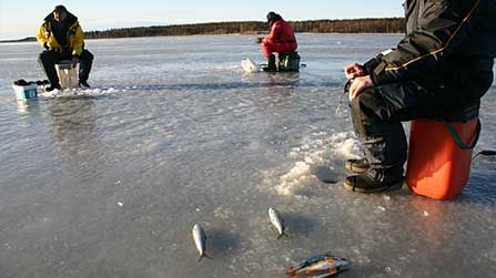 Succé för digitala fiskekort