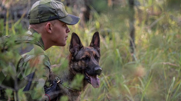 Foto: Therese Åkerstedt/Försvarsmakten