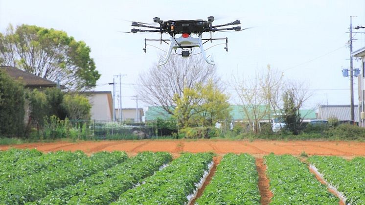 浜松市の複数のばれいしょ畑で始まったドローンによる実証散布 