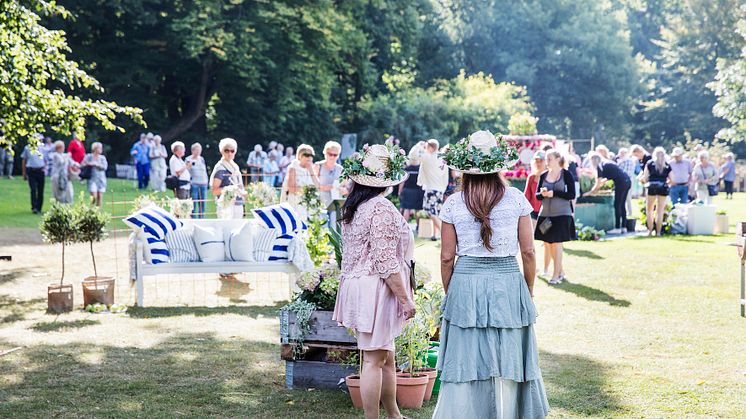 Deltagarna i undersökningen ger generellt en positiv bild av Helsingborg. Här syns besökare på den stora trädgårdsfesten på Sofiero 2016. Foto: Sophie Håkansson