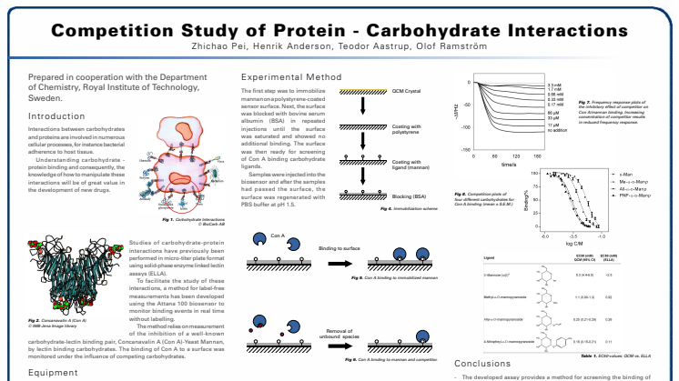 Biosensor Competition Study of Protein - Carbohydrate Interactions