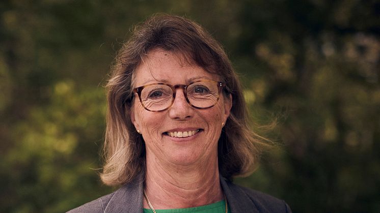 Angela Everbäck (MP), ledamot i regionfullmäktige