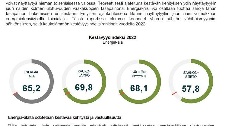 Kestävysindeksi 2022, Energia-ala