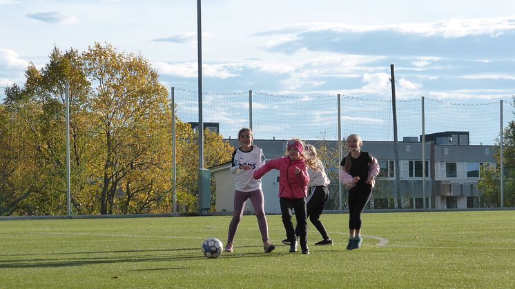 Akvaplan-niva forskning bidrar til EU forbud mot gummigranulat på fotballbaner