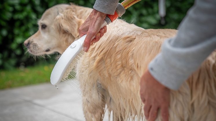 Sund og velplejet pels uden stress: Med tre stråletyper og behagelige silikonedyser sørger hansgrohe DogShower for rolig og grundig rengøring af din hund.