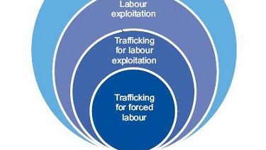 Role of social partners in preventing trafficking of labour