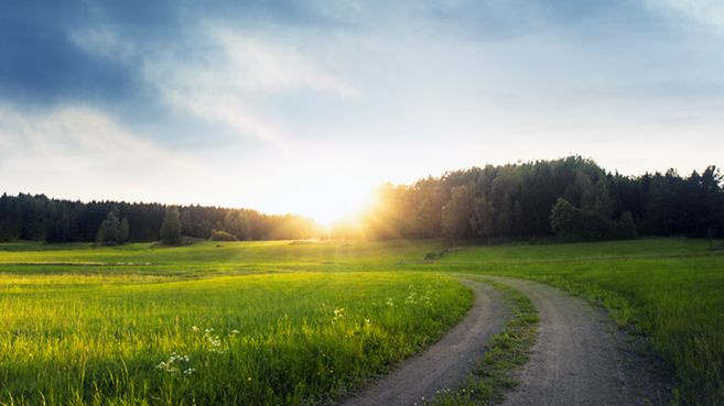 Bioenergin räcker till de ökande behoven