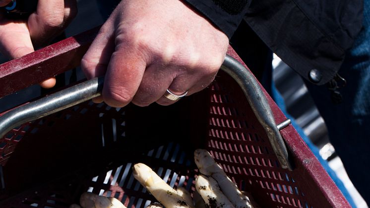 Service är viktigare än råvara för restauranggästen