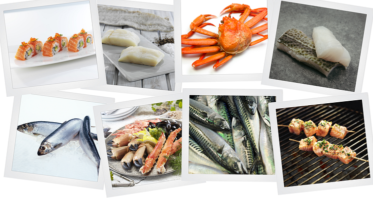Photo credit: the Norwegian Seafood Council