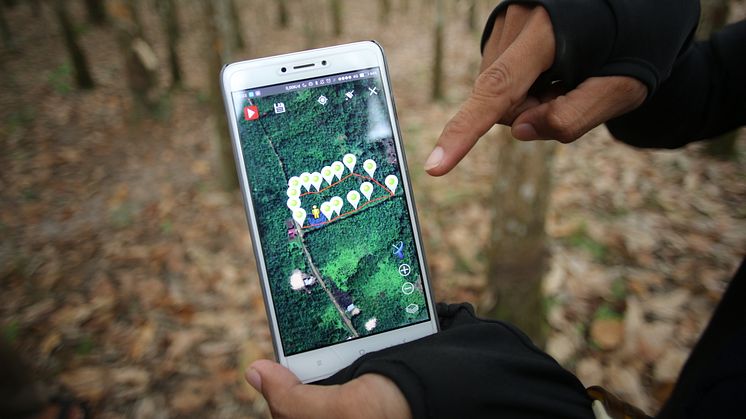 Koko toimitusketjun digitalisointi mahdollistaa luonnonkumin täyden jäljitettävyyden. © GIZ/Canopy Indonesia