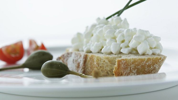 New cottage cheese culture helps manufacturers tap into high protein trend