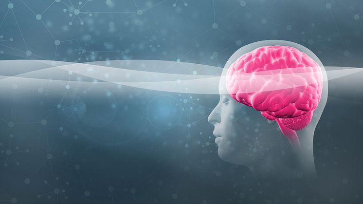 Neuromarketing II: Softdrinks und Autos im Gehirn-Scanner 