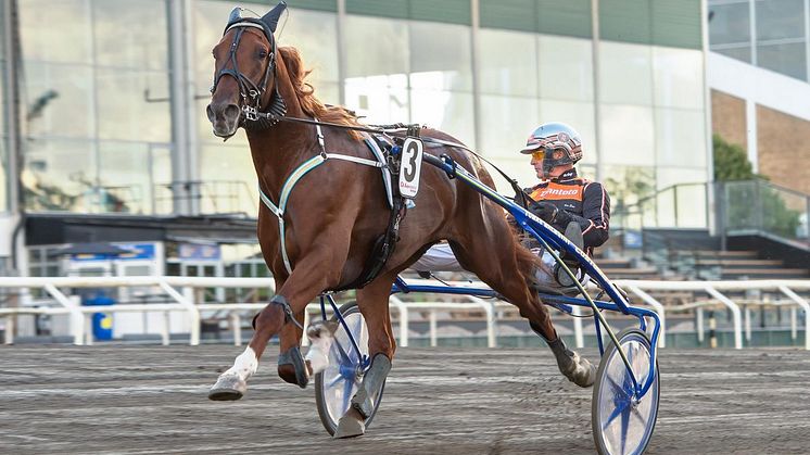 Empire och Ken Ecce är en het kandidat i det danska derbyt. Foto: Mikael Rosenquist/MiRo Media