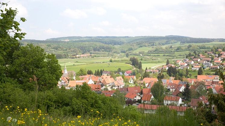 Blick auf Gomadingen