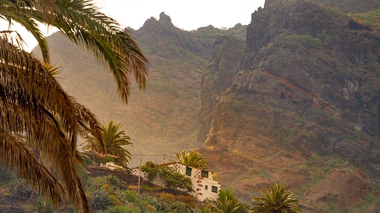 Byn Masca är en gömd pärla som reser sig vackert över bergskedjan. Foto: Canary Islands Tourism.