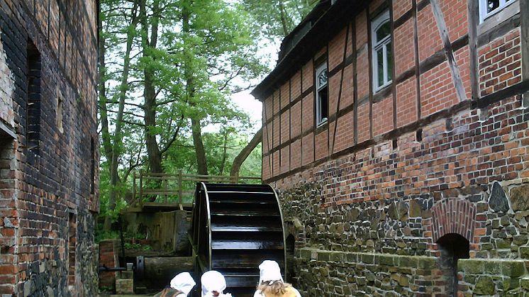 Kann beim 27. Deutschen Mühlentag besichtigt werden: Obermühle Bad Düben - Foto: Andreas Schmidt