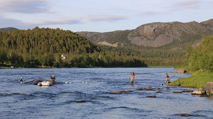 Jenny Jensen fra Akvaplan-niva i Altafjordsystemet sammen med kollegaer (Foto: Akvaplan-niva)