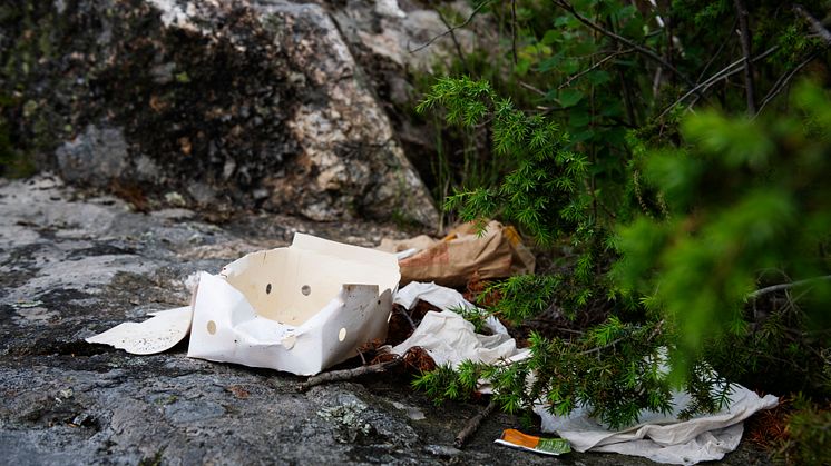 Elva stora Västerås-aktörer anordnar skräpplockardag för andra året i rad