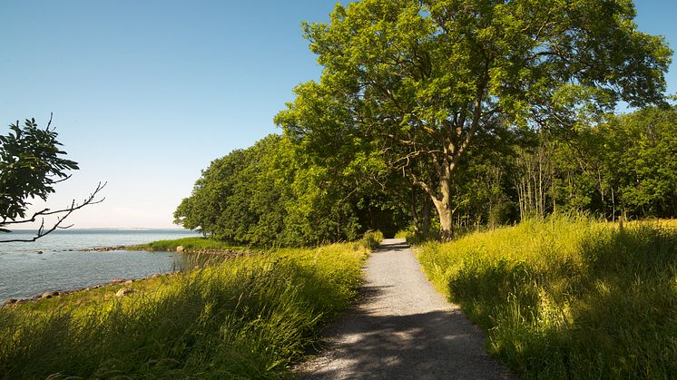 Utstikt fra Jeløya