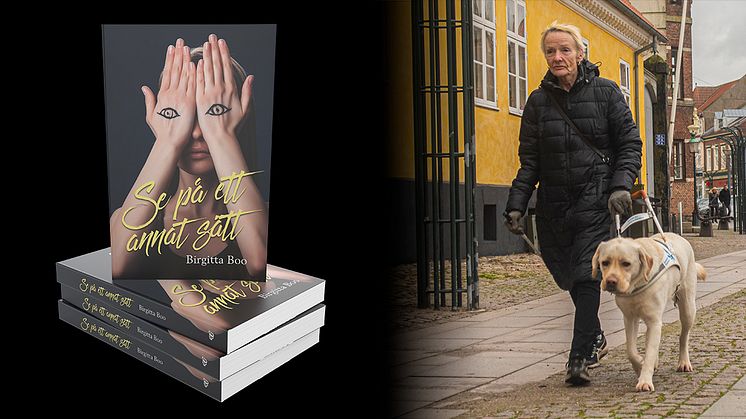 Se på ett annat sätt är en dokumentärbiografi skriven av Birgitta Boo.