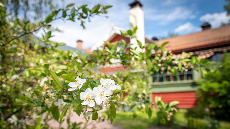 Carl Larssongården in Sundborn. photo Anna Holm / Visit Dalarna