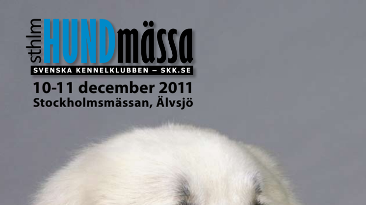 Publikprogram Stockholm Hundmässa