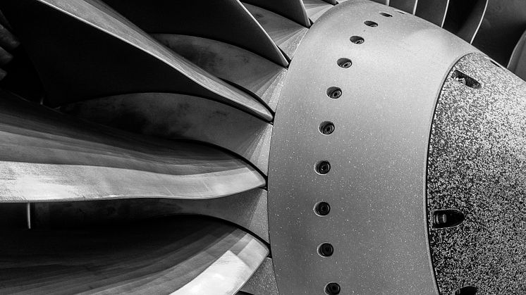 Engine fan blade of a 737-800 aircraft