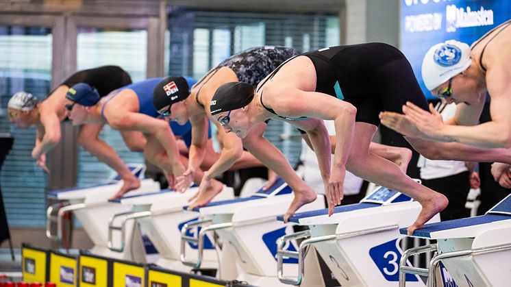 Välkommen till pressträff inför Swim Open Stockholm