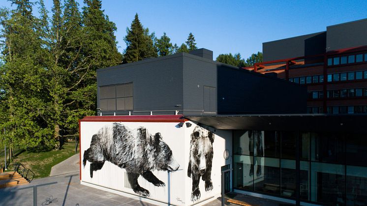 Jussi TwoSevenin karhuteos seikkailee Otaniemen lukion kahdella seinällä. Kuva Ilkka Vuorinen