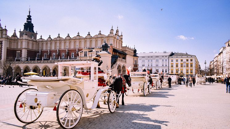 Radonkonferens Krakow