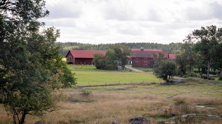 Värmland toppar KRAVs hållbarhetsrankning för mark