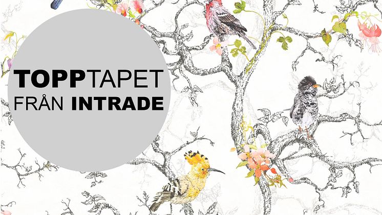 InTrades mest sålda tapet, i topp sedan 2014