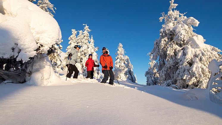 Happy skiers in Trysil. Photo: Ola Matsson, SkiStar