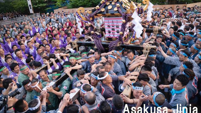 Sanja Matsuri(2)