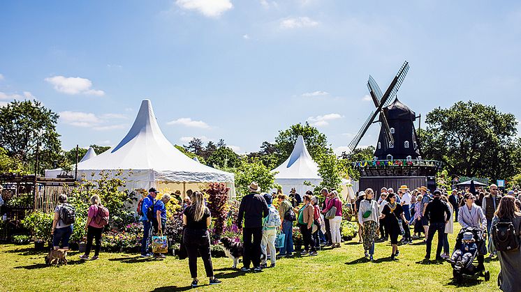 Från Malmö Garden Show 2022. Foto Apelöga