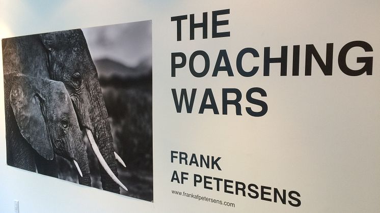 The Poaching Wars i Santa Monica