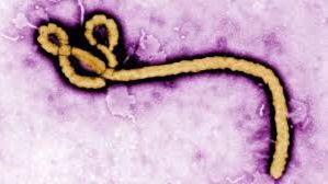 Kampen mot Ebola